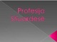 Profesija Stiuardesė