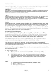 Rotorinis variklis 3