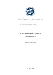 Apgyvendinimo sektoriaus subjekto galimybių studija (2) 1