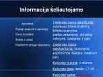 Maršrutas po Lietuvos miestus 1
