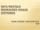 Kintų miestelio rekreacinės veiklos vertinimas
