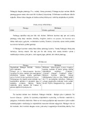 Lietuvos kurortų lyginamoji analizė Birštonas ir Palanga 3