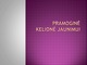 Pramoginė kelionė jaunimui 