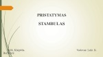 Miesto turizmas - Stambulas 1