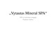 Birštono kurortas: Vytautas Mineral SPA