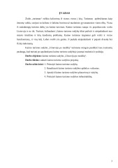 Kaimo turizmo sodybos projektas 1