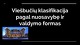 Viešbučių klasifikacija pagal nuosavybę ir valdymo formas