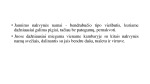 Jaunimo nakvynės namai projektai 2