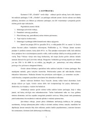 Grožio salono verslo planas Afroditė 3