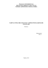 Tarptautinių organizacijų vaidmuo šiuolaikiniame pasaulyje 1