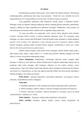 Tarptautinio verslo plėtra ir strateginis valdymas 3