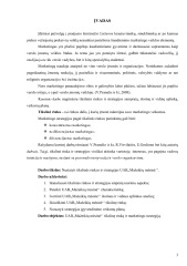 Mėsinė tikslinės rinkos ir strategijos nustatymas 3