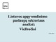 Lietuvos apgyvendinimo paslaugų sektoriaus analizė