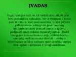 Strateginio valdymo mokslo ir jo raidos teorinės prielaidos 2