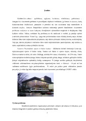 Lietuvos nacionalinio operos ir baleto teatro vadybinės ir socialinės veiklos analizė 3