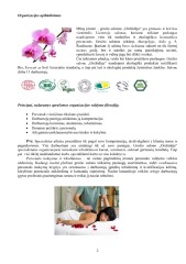 Ekologiškas grožio salonas Orchidėja 2