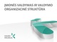 Įmonės valdymas bei valdymo organizacinė struktūra