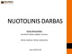Nuotolinis darbas