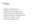 Vadybos teorijos problemos sprendimas 2