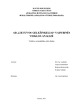 UAB „Lietuvos geležinkeliai" veiklos analizė