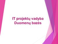 IT projektų vadyba Duomenų bazės 1