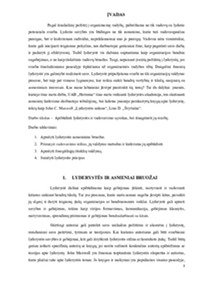 Vadovavimo ir lyderystės įtaka organizacijos valdymui 3