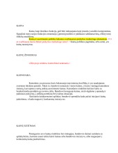 Kainodara. Kainos kėlimas, mažinimas. Priežastys. 2