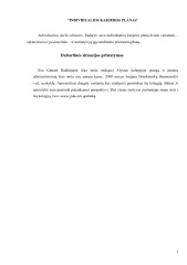 Individualios karjeros planas: optimistinis ir pesimistinis variantas 3