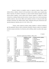 Kontrolės proceso svarba įmonės veikloje 1