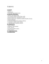 Imones steigimas. Referatas 3