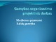 Miedienos pramonė gamybos organizavimas