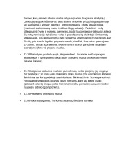 Renginio scenarijus biudžetas 3