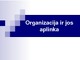 Organizacijos aplinka skaidrės