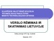 Verslo rėmimas ir skatinimas Lietuvoje