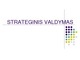 Strateginis valdymas skaidrės