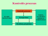 Kontrolė konspektas 3