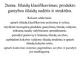 Išlaidų klasifikavimas