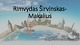 Rimvydas Širvinskas Makalius skaidrės apie verslą