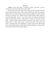 Kultūriniai ypatumai versle 3