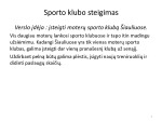 Sporto klubo verslo planas projektas 2