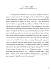 Verslumo planavimas 3