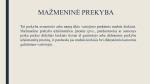 Mažmeninė prekyba, išskyrus variklinių transporto priemonių ir motociklų prekybą 2