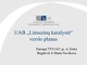 Limuzinų nuomos įmonės verslo plano pristatymas
