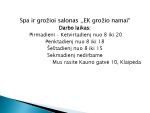 Verslo projekto pristatymas: spa ir grožio salonas 2