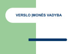 Verslo įmonės vadyba 1