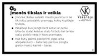 Verslo kūrimas: Pramogų centras 3
