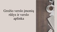 Grožio verslo įmonių rūšys ir verslo aplinka 1