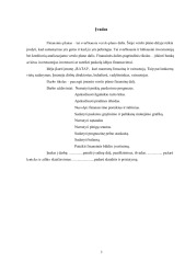 Limuzinų nuoma verslo planas 2