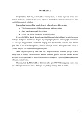 Naktinis klubas verslas 3
