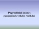 Pagrindiniai įmonės ekonominės veiklos rodikliai